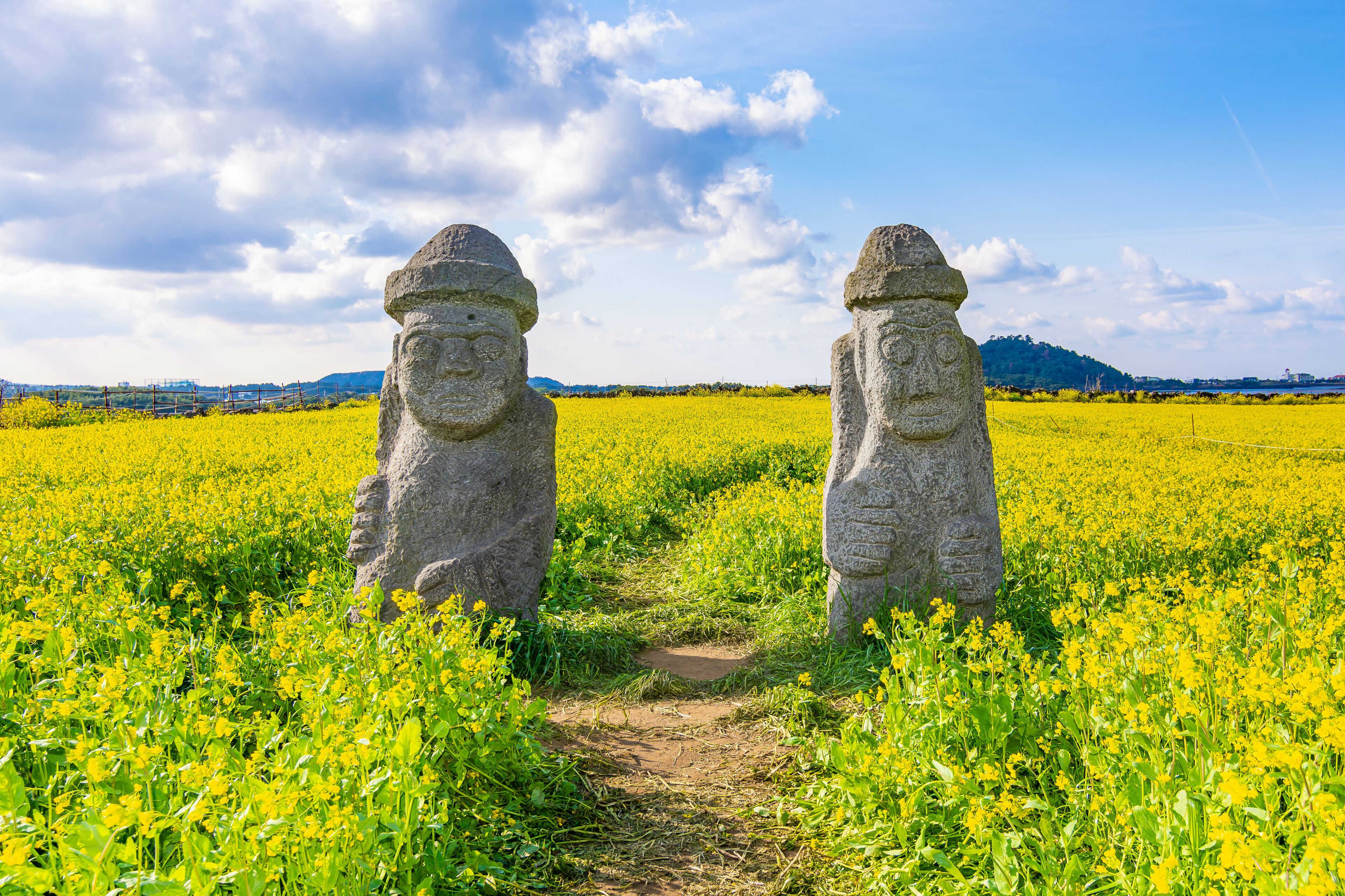 Two large stone statues in a field of yellow flowers under a partly cloudy sky.