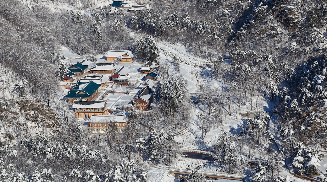 Buddhist temple in winter in South Korea without people, pacification and meditation. DECEMBER. 2015