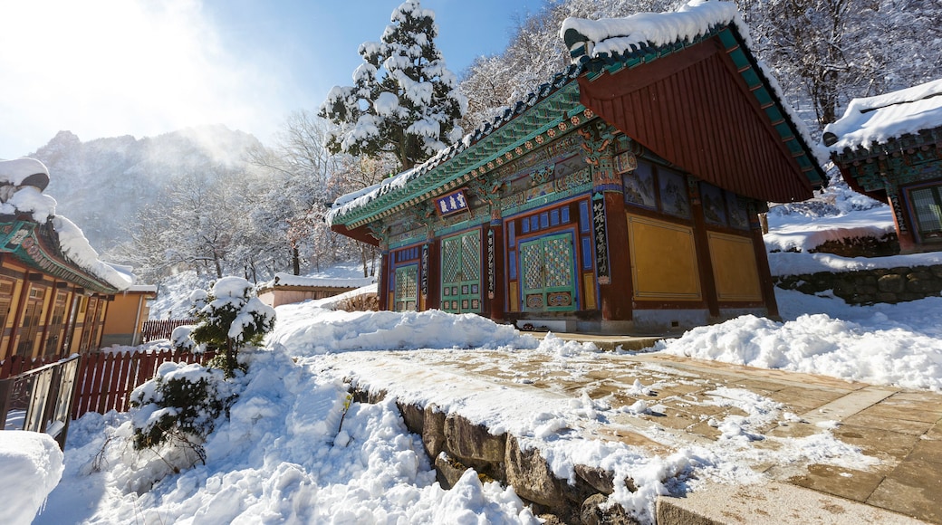 Buddhist temple in winter in South Korea without people, pacification and meditation. DECEMBER. 2015
