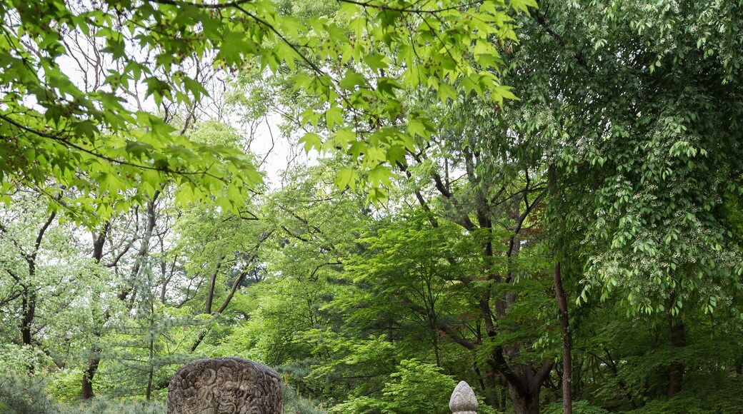 King Seongjong's Taesil (Placenta Chamber) and Taesilbi (Placenta Burial Marker) at the Changgyeonggung Palace in Seoul, South Korea.
