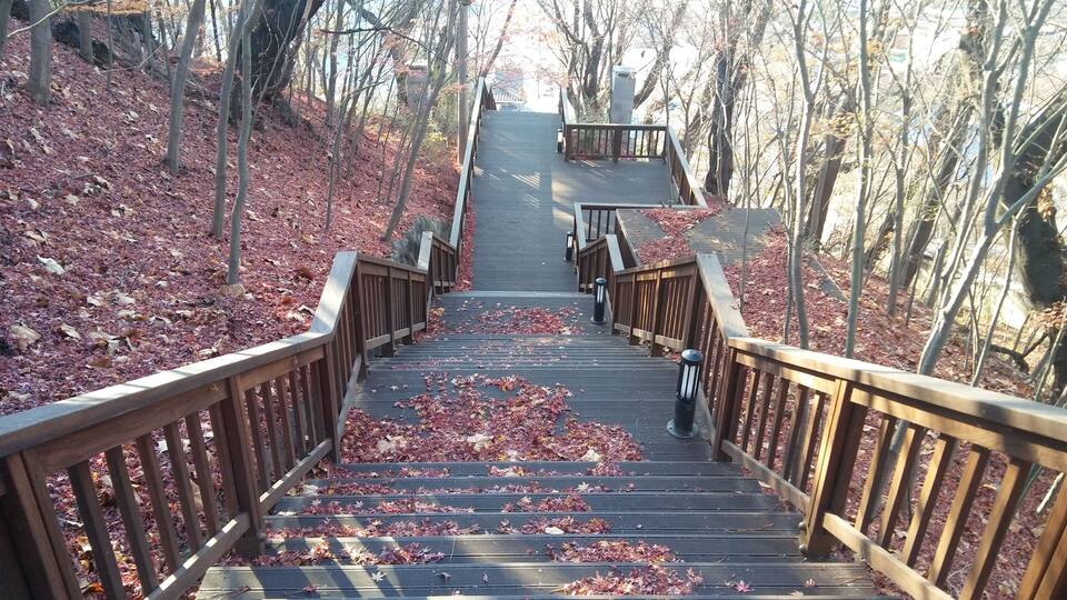 ๋์ฝ์ด ๋จ์ด์ ธ์๋ ๊ณ๋จ์ ๋ชจ์ต.