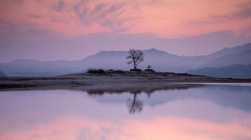 A solitary tree in a reflective body of water with mountains in the background.