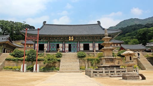 This media shows the cultural heritage monument in South Korea with the number: