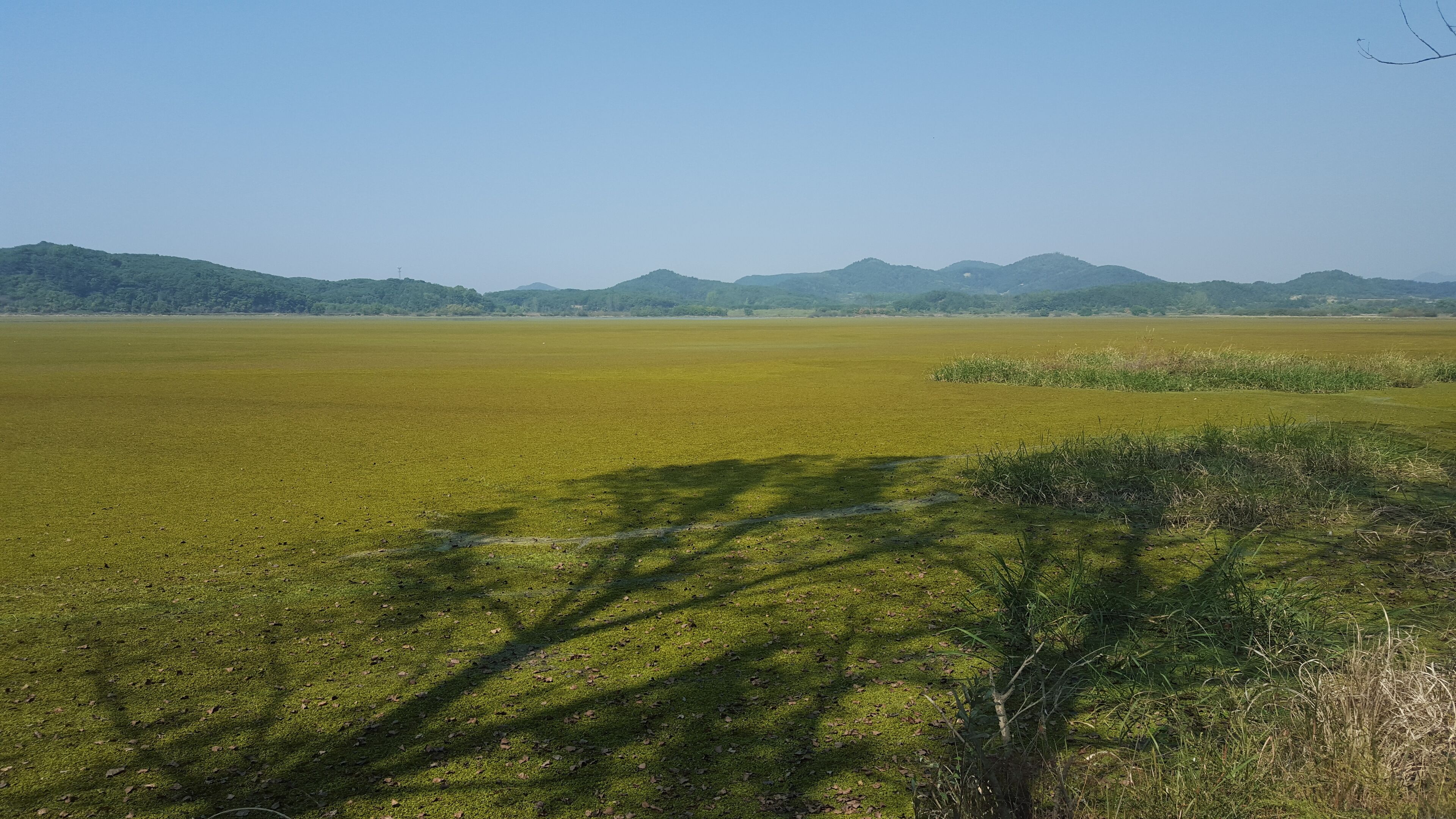 A vast green field with distant mountains under a clear sky.