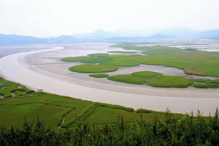 View from the top of Suncheon Wetland Reserve