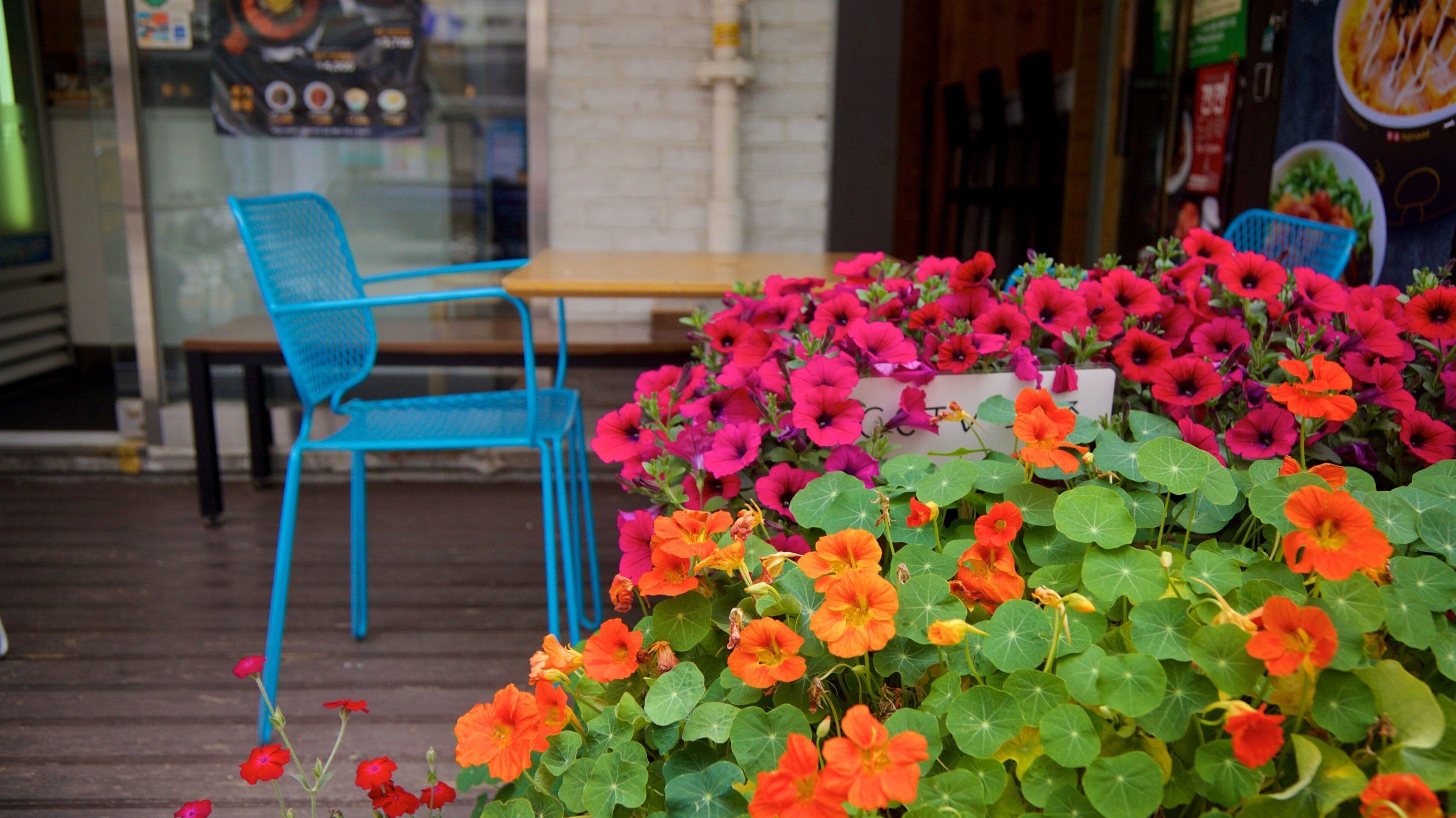 Chegiil-tong which includes flowers