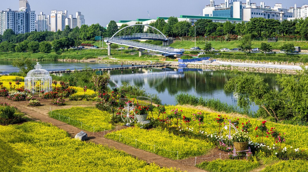 망우동