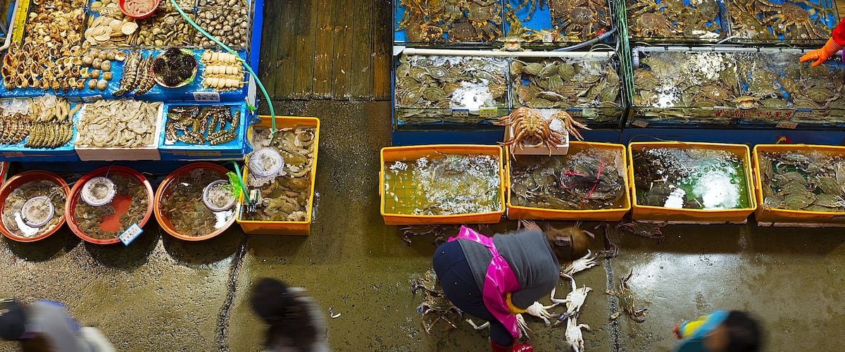 Noryangjin Fisheries Wholesale Market interior; Shutterstock ID 338928617