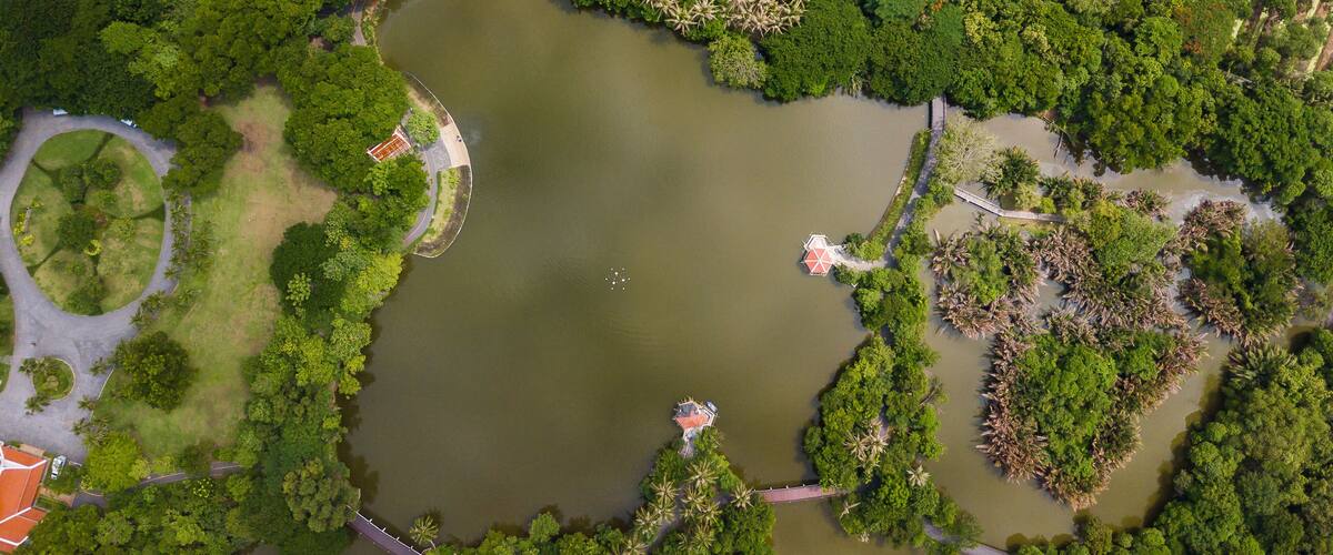 An aerial view of a park with a central pond, surrounded by dense greenery and several small buildings.