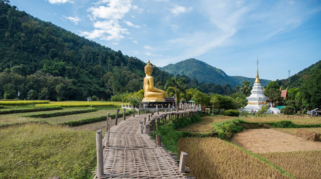 THAILAND PHRAE WAT NA KHU HA BUDDHA