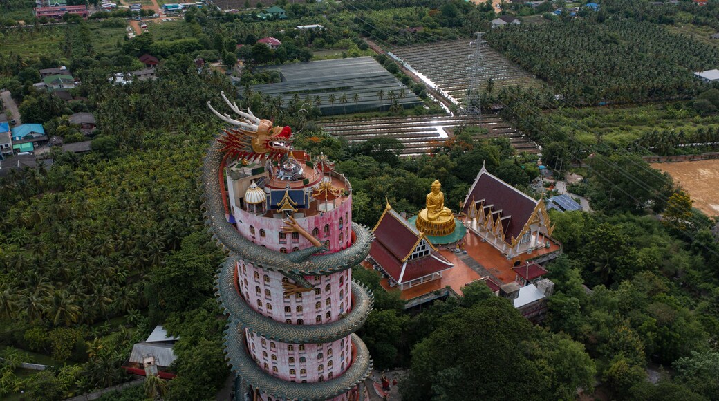 Aerial view of Wat Samphran Dragon Temple in the Sam Phran District in Nakhon Pathom province near Bangkok, Thailand.