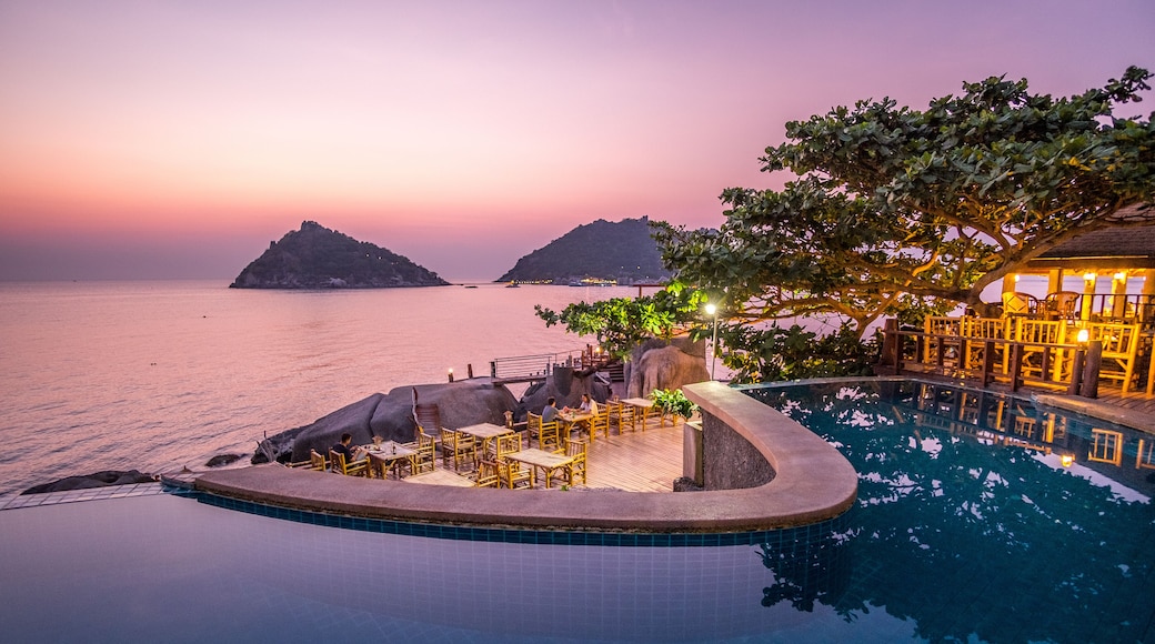 เต่าเล่า