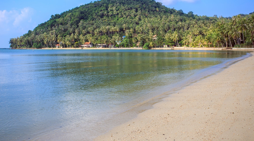Untouched tropical beach of Thailand