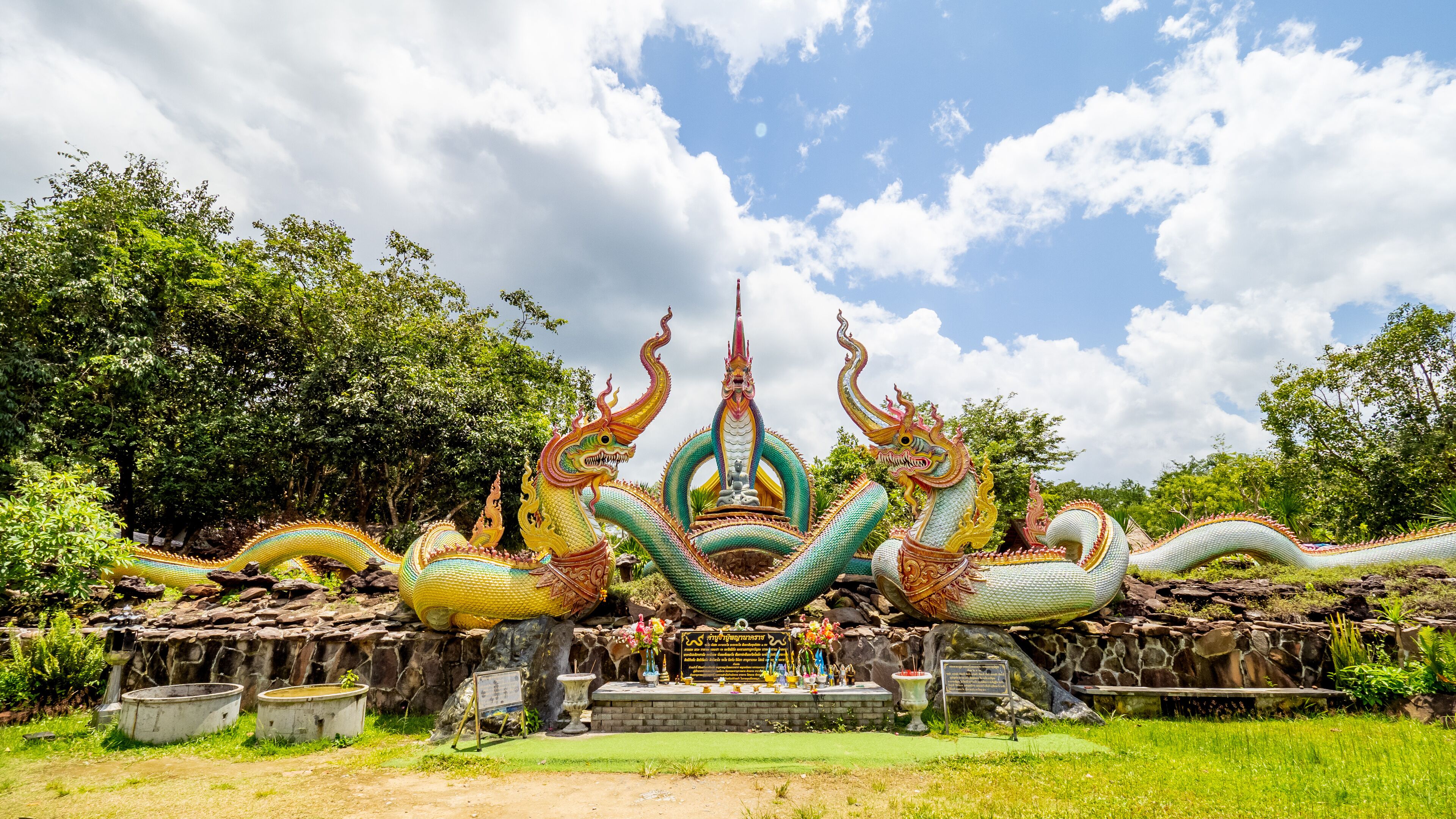 Ubon Ratchathani, THAILAND - August 8, 2023: Buddhist travel glowing serpent statue with sunlight at Wat Pa Phu pang temple, Si Chiang Mai District, Ubon Ratchathani Province, Thailand.