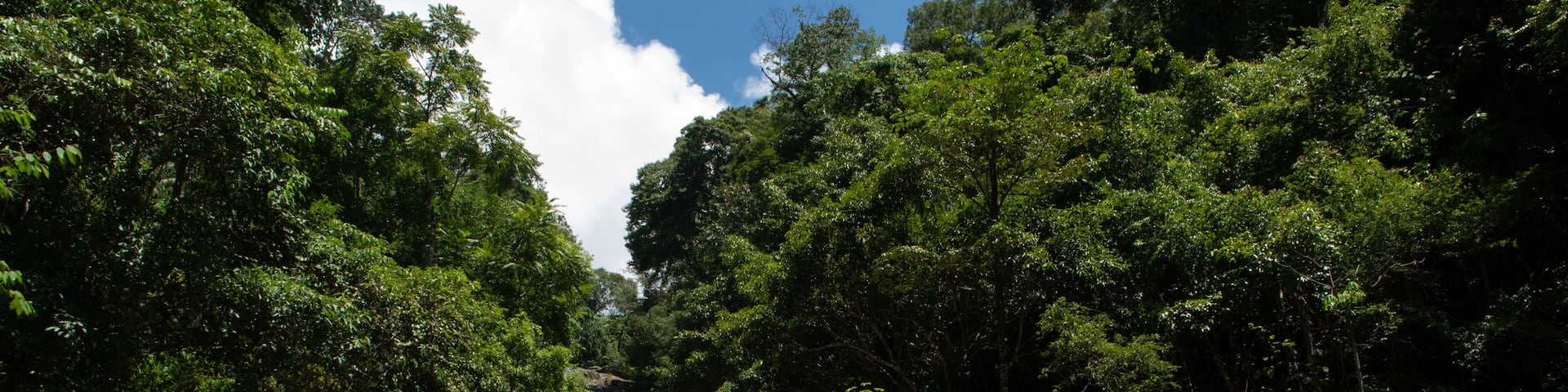Ton Pliw Waterfall is located at Na Yong, Trang, Thailand.