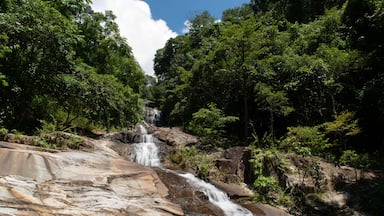 Ton Pliw Waterfall is located at Na Yong, Trang, Thailand.