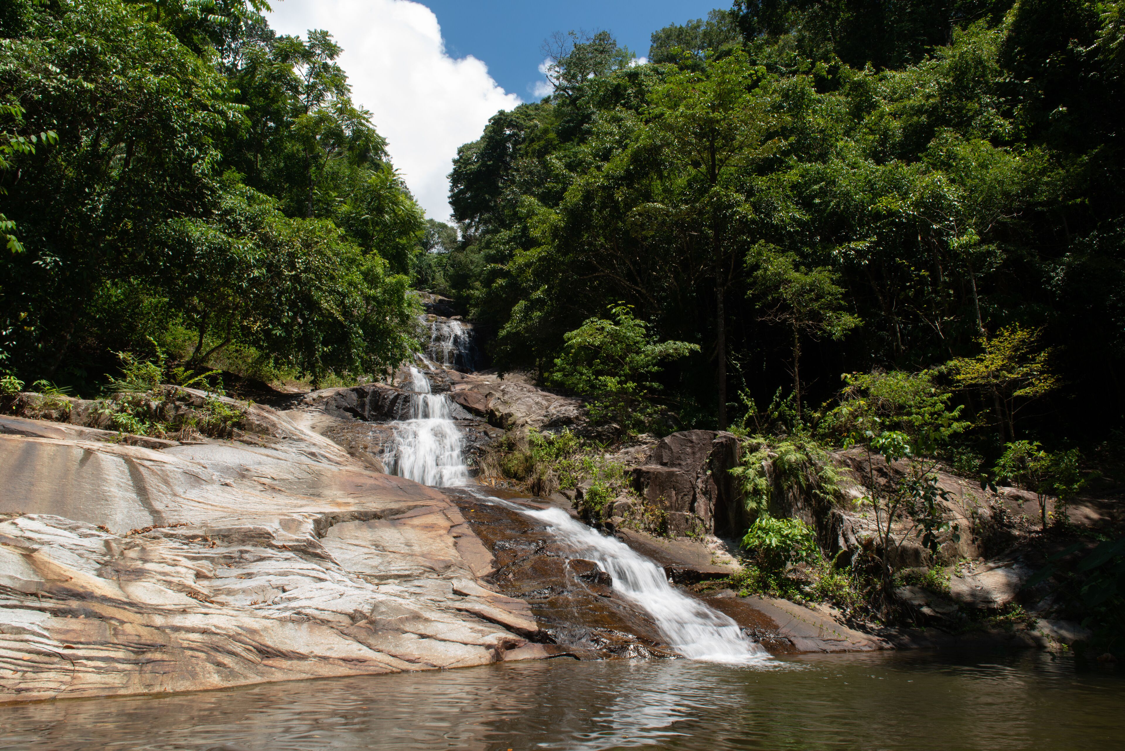 A waterfall cascading over rocks in a forested area.