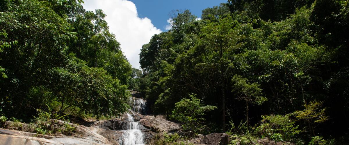 A waterfall cascading over rocks in a forested area.