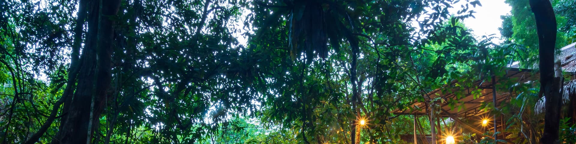 Long Exposure landscape waterfalls streams rocks front view inside the green forest upstream peaceful fresh air nature Khlong Pa Phayom Phatthalung asian Thailand