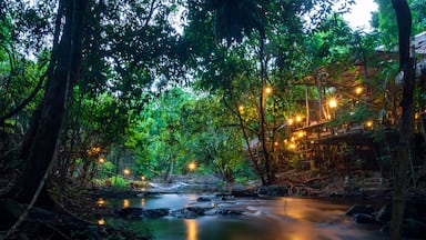Long Exposure landscape waterfalls streams rocks front view inside the green forest upstream peaceful fresh air nature Khlong Pa Phayom Phatthalung asian Thailand