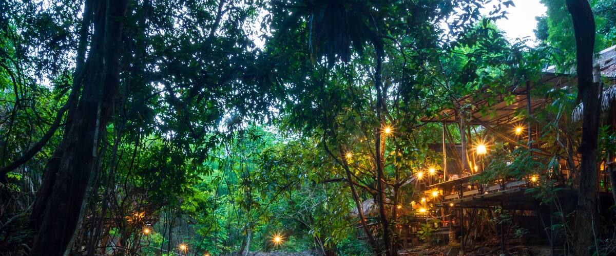 A river flowing through a forest with a bridge and lights.