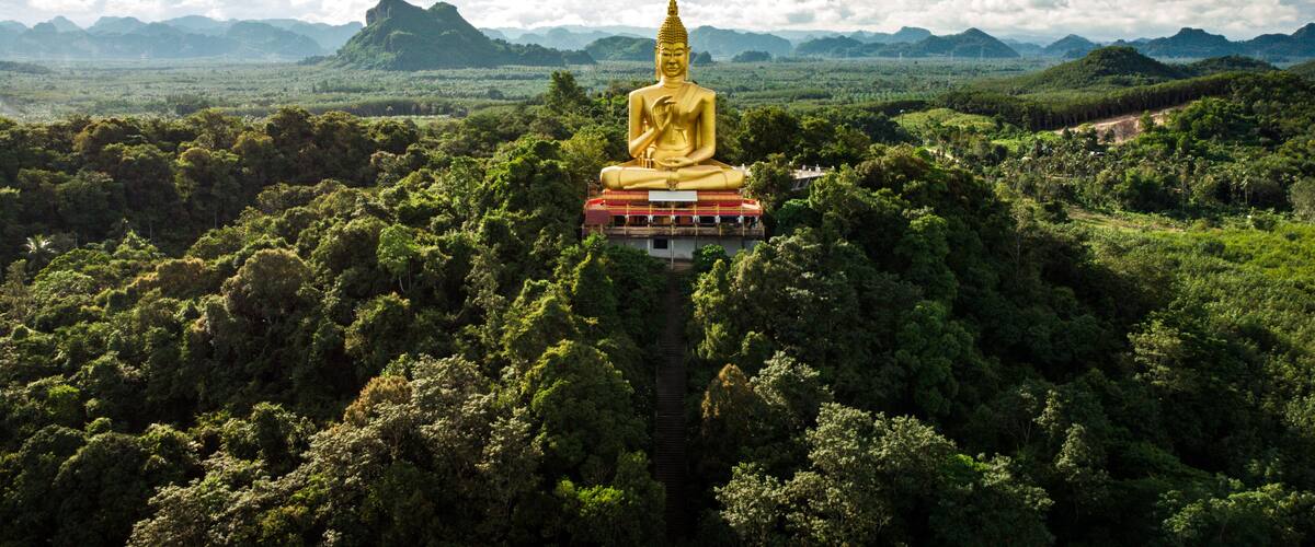 A large golden Buddha statue surrounded by lush green forest and mountains.
