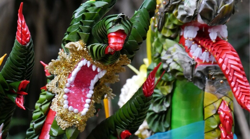 Naga offerings at Kamchanod temple and forest reserve. The forest is reputedly the home of the underground Kingdom of the Phaya Naga. During the festival of Bang Fai Phaya Naga celebrated at the end of Buddhist Lent every year, the nagas breathe fireballs that rise from the bottom of the Mekong River. People come to the Kamchanod temple to leave offerings to the Nagas for blessing in the coming year. #green
