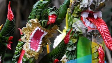 Naga offerings at Kamchanod temple and forest reserve. The forest is reputedly the home of the underground Kingdom of the Phaya Naga. During the festival of Bang Fai Phaya Naga celebrated at the end of Buddhist Lent every year, the nagas breathe fireballs that rise from the bottom of the Mekong River. People come to the Kamchanod temple to leave offerings to the Nagas for blessing in the coming year. #green