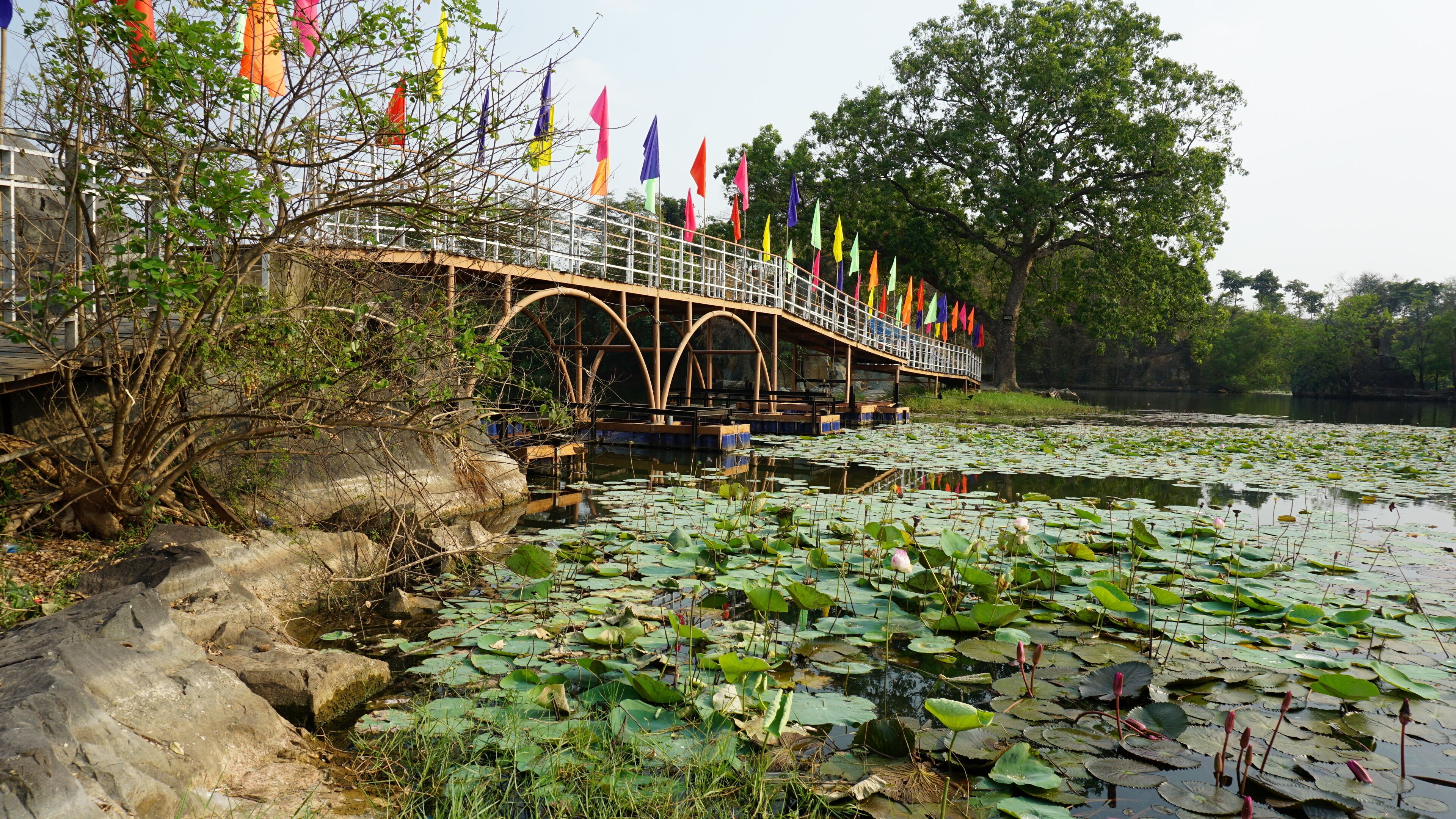 A bridge with colorful flags, a pond with lily pads, and trees in the background.