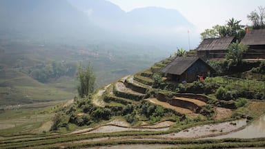 Terraced rice fields, a wooden house, and mountains in the background.