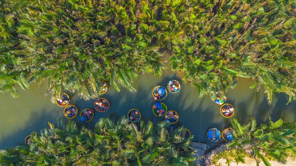 Un paisaje tropical con densas palmeras y plataformas circulares flotantes con gente.