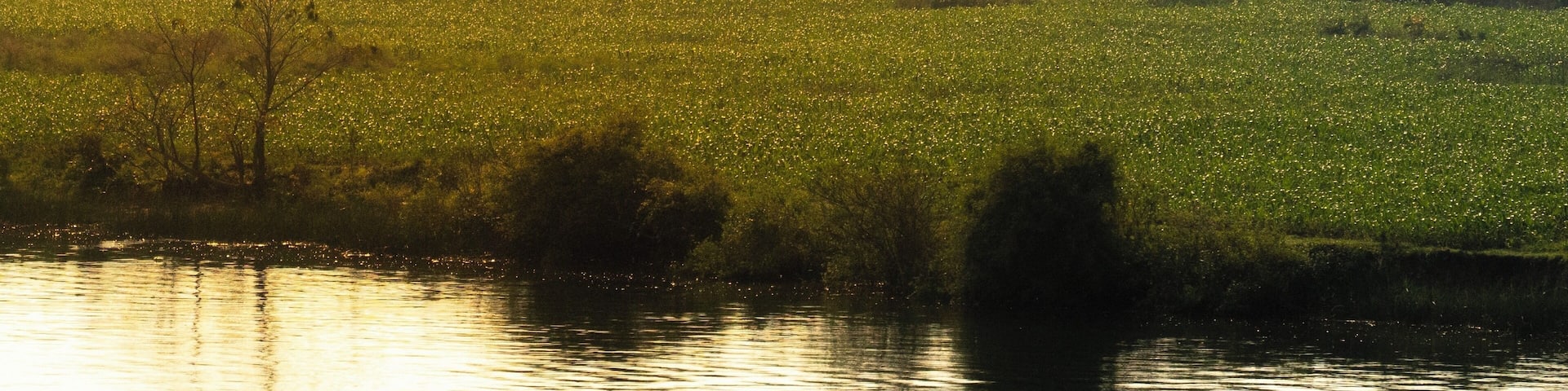Morning shot taken from a moving train traveling north from south in Vietnam