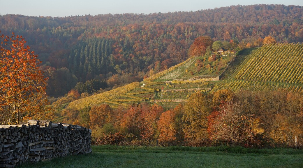 Beilstein-Billensbach: herbstlicher Blick vom Feldweg Richtung Maad über das Tal der Appenklinge (Bach) auf den sog. Platz an der Birke (mit privatem Wochenend-Haus) und über das Schmidbachtal auf die sog. Rehsteige (der bewaldete Höhenzug im Hintergrund).