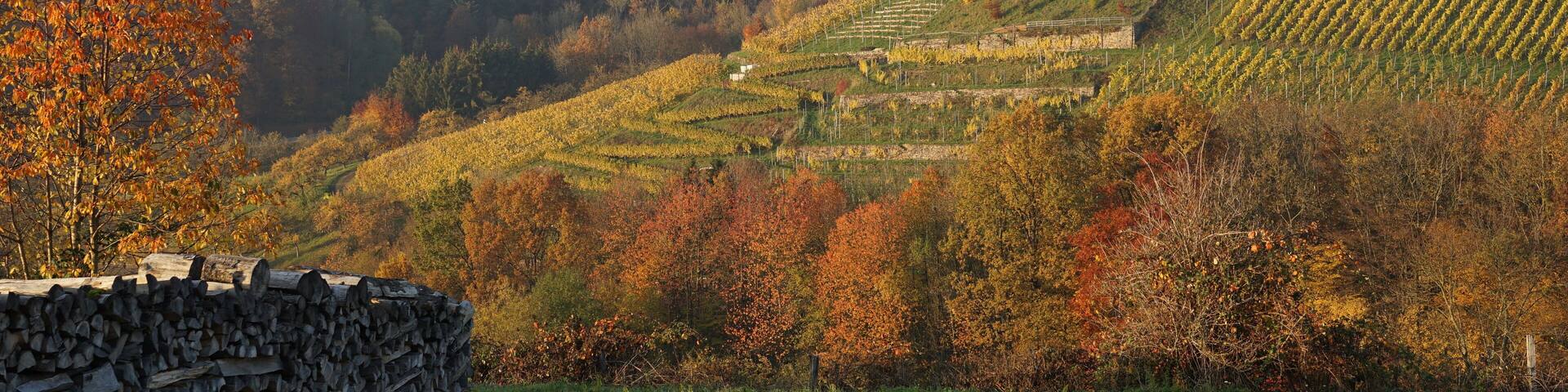 Beilstein-Billensbach: herbstlicher Blick vom Feldweg Richtung Maad ĂŒber das Tal der Appenklinge (Bach) auf den sog. Platz an der Birke (mit privatem Wochenend-Haus) und ĂŒber das Schmidbachtal auf die sog. Rehsteige (der bewaldete Höhenzug im Hintergrund).