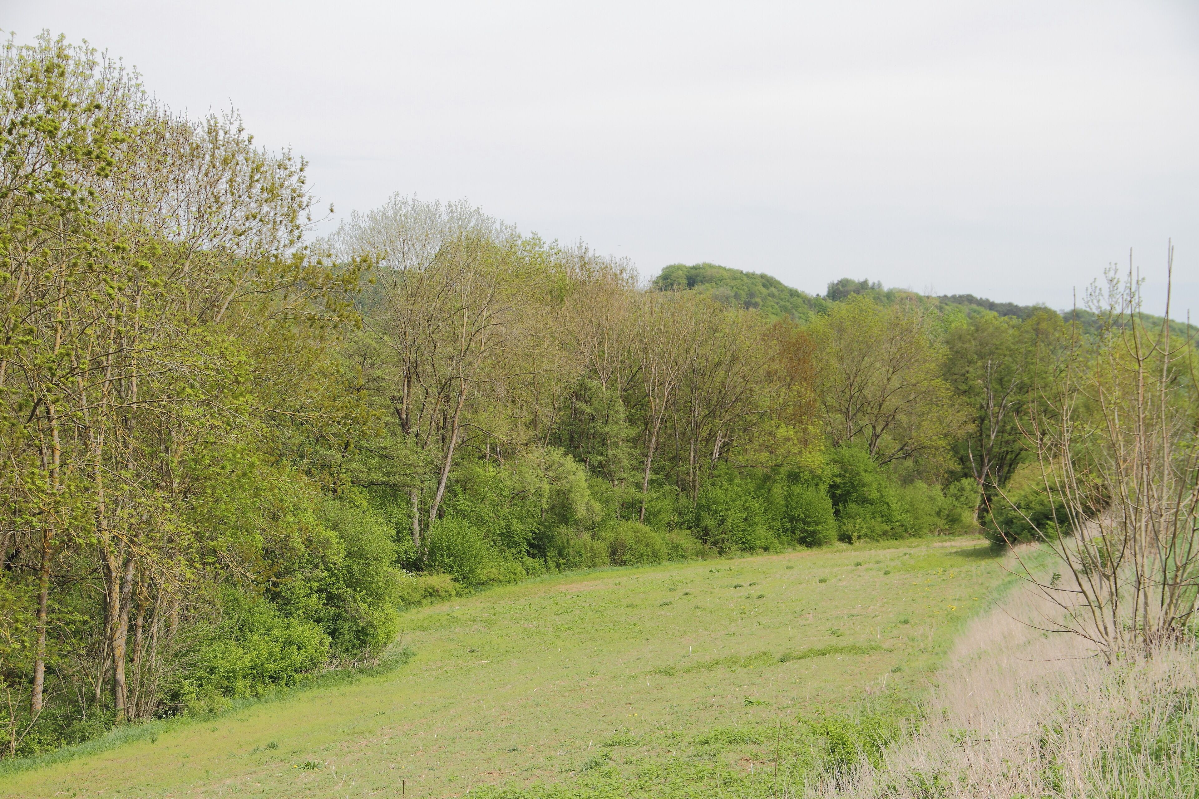 Der Altarm der Tauber im Gewann Lachen bei Creglingen ist in der Liste der Naturdenkmale eingetragen. SGNr. 81280200038.