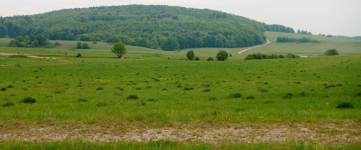 Herzstück des Biosphärengebiets der schwäbischen Alb: Der ehemalige Truppenübungsplatz Münsingen im sogenannten Münsinger Hardt