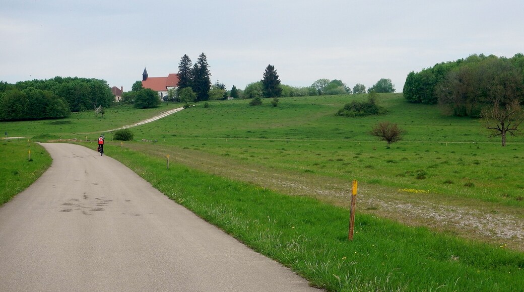 Herzstück des Biosphärengebiets der schwäbischen Alb: Der ehemalige Truppenübungsplatz Münsingen im sogenannten Münsinger Hardt: Blick Richtung Gruorn