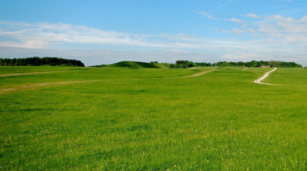 Herzstück des Biosphärengebiets der schwäbischen Alb: Der ehemalige Truppenübungsplatz Münsingen im sogenannten Münsinger Hardt