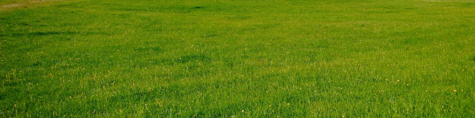 Herzstück des Biosphärengebiets der schwäbischen Alb: Der ehemalige Truppenübungsplatz Münsingen im sogenannten Münsinger Hardt