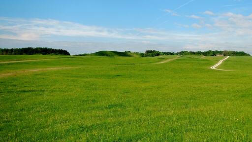 Herzstück des Biosphärengebiets der schwäbischen Alb: Der ehemalige Truppenübungsplatz Münsingen im sogenannten Münsinger Hardt