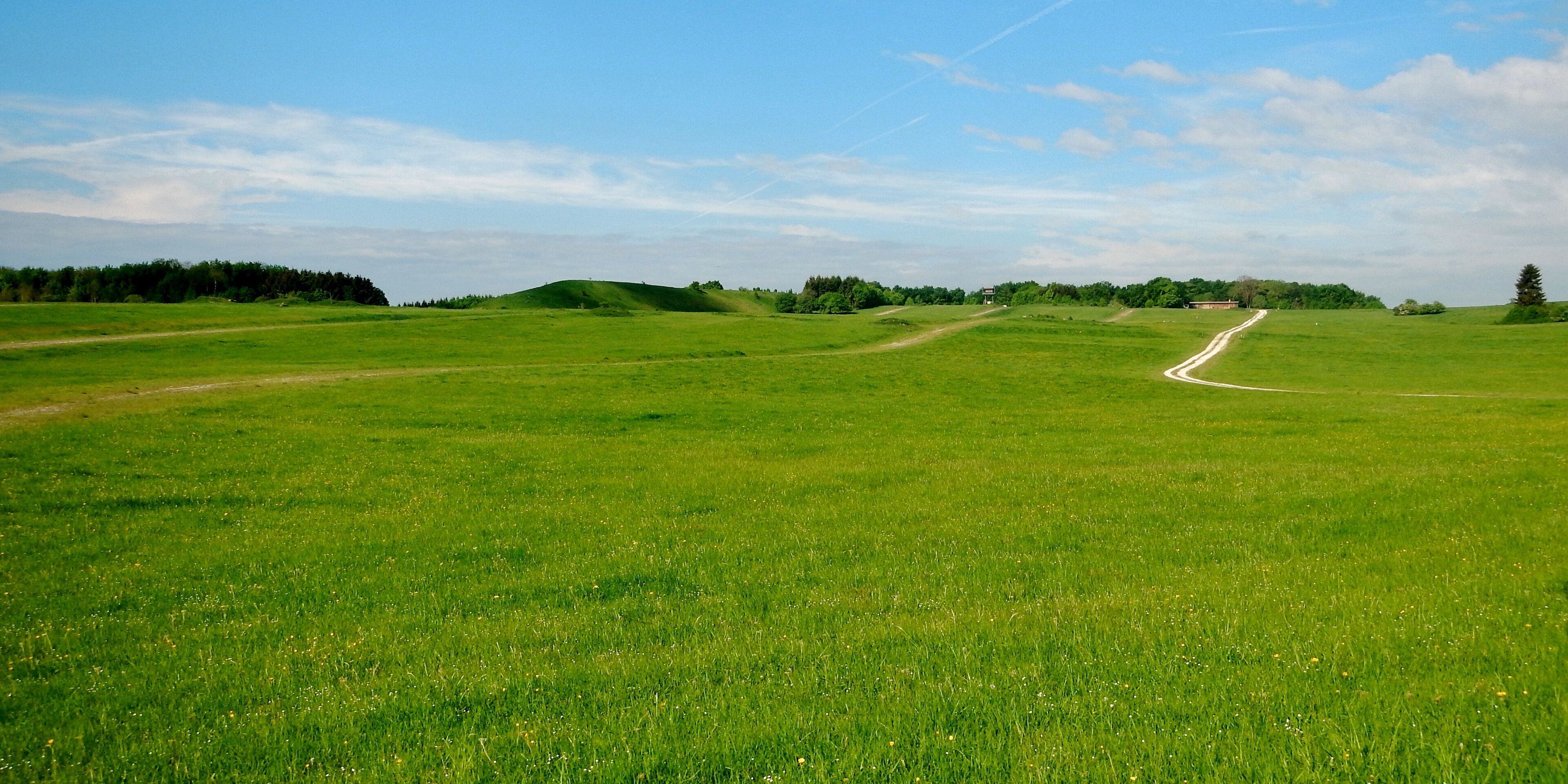 A vast green field with a dirt path leading to a distant hill.