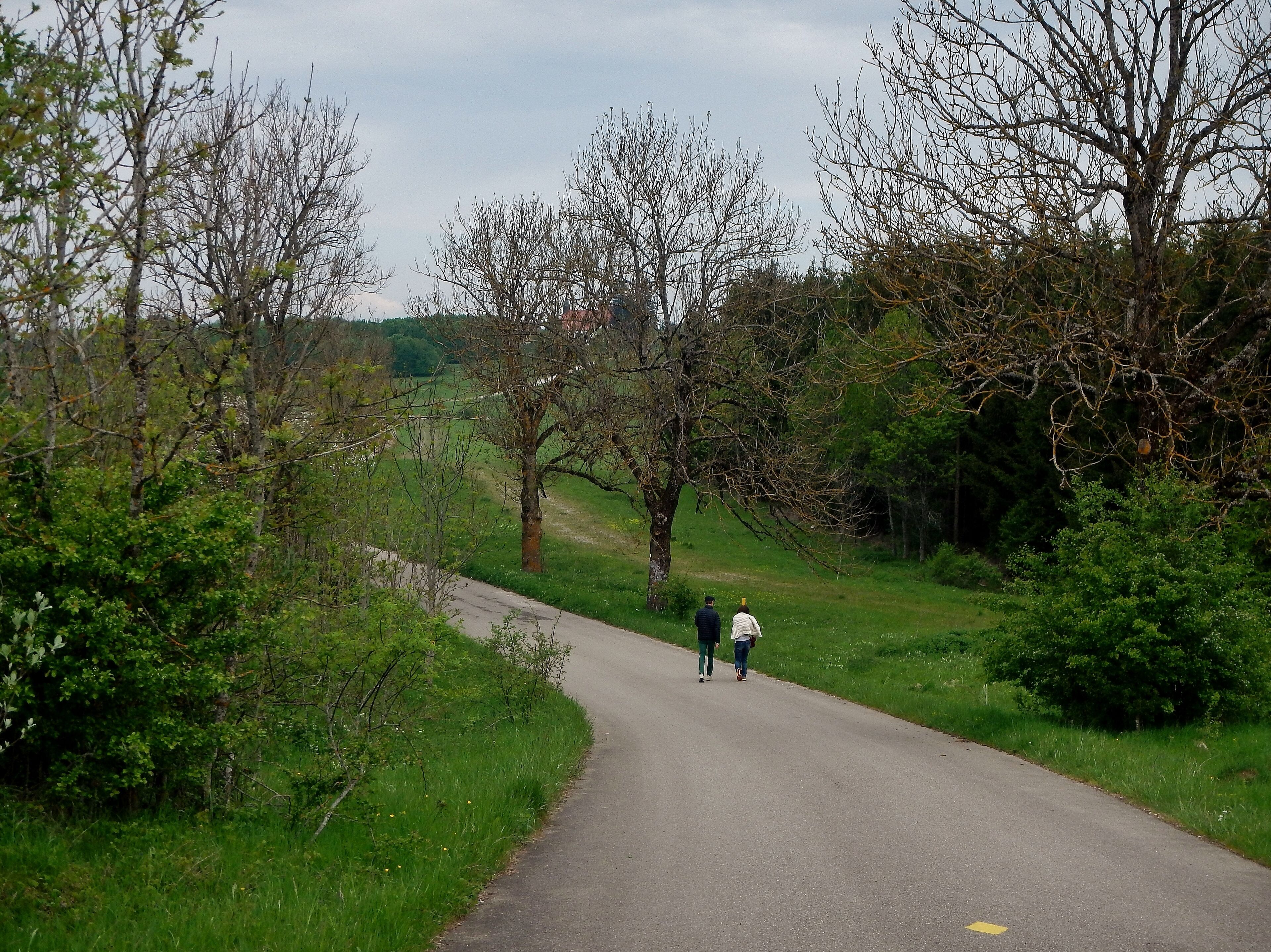 Herzstück des Biosphärengebiets der schwäbischen Alb: Der ehemalige Truppenübungsplatz Münsingen im sogenannten Münsinger Hardt: Weg nach Gruorn