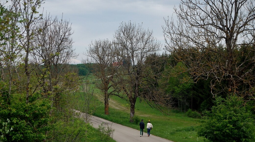 Herzstück des Biosphärengebiets der schwäbischen Alb: Der ehemalige Truppenübungsplatz Münsingen im sogenannten Münsinger Hardt: Weg nach Gruorn