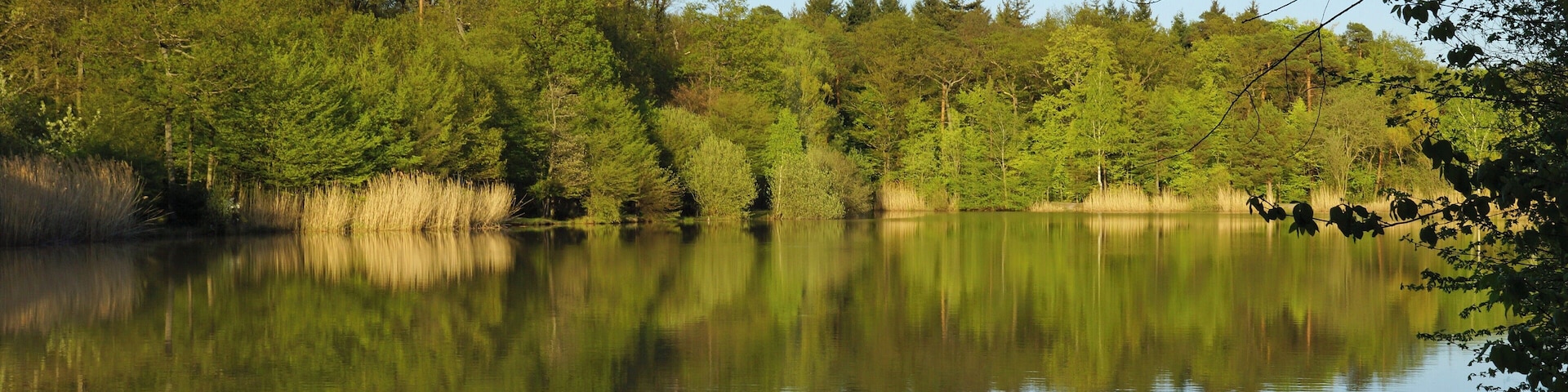Heiligenbergsee 04/2015