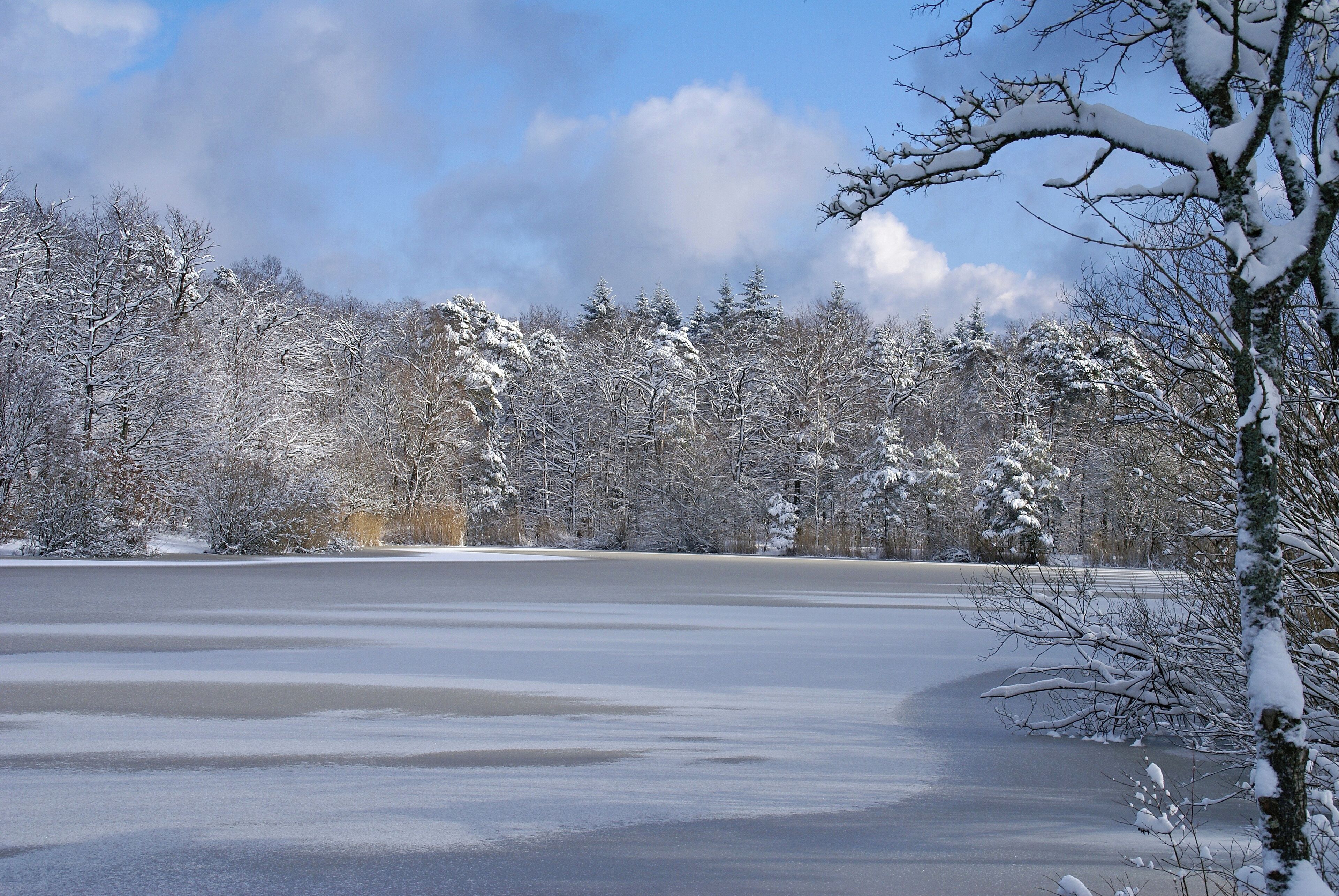 Heiligenbergsee 02/2013