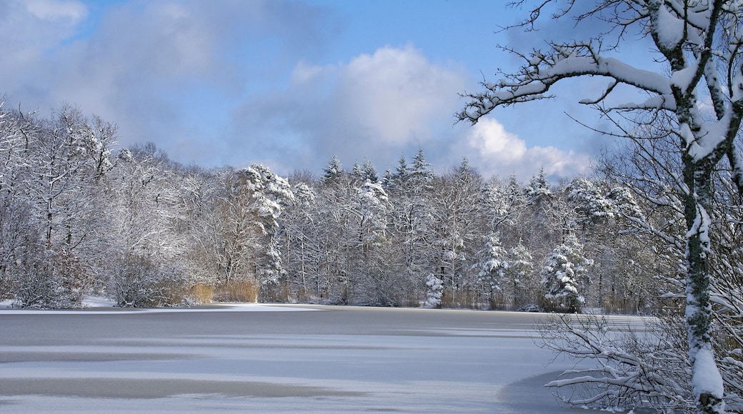 Heiligenbergsee 02/2013