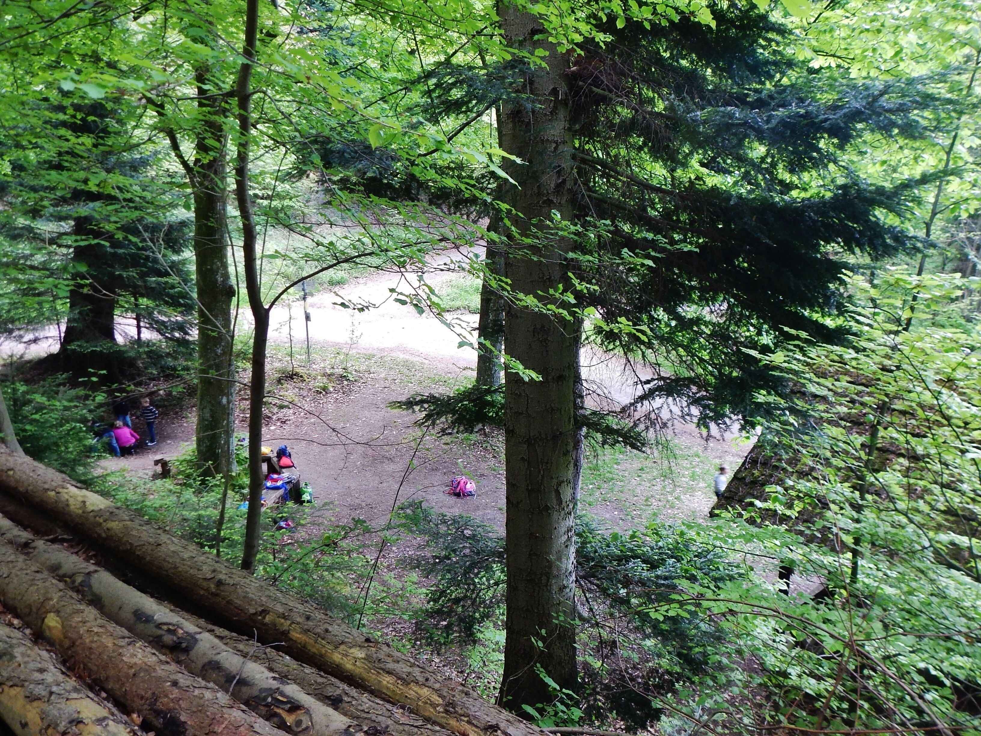 Rehackerbrunnen 430 m ü. NN