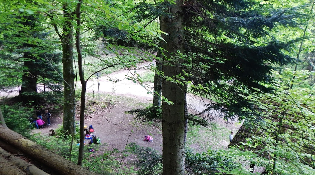 Rehackerbrunnen 430 m ü. NN