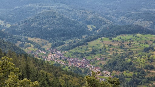 Blick vom Dachsstein auf Reichental und den Hohloh