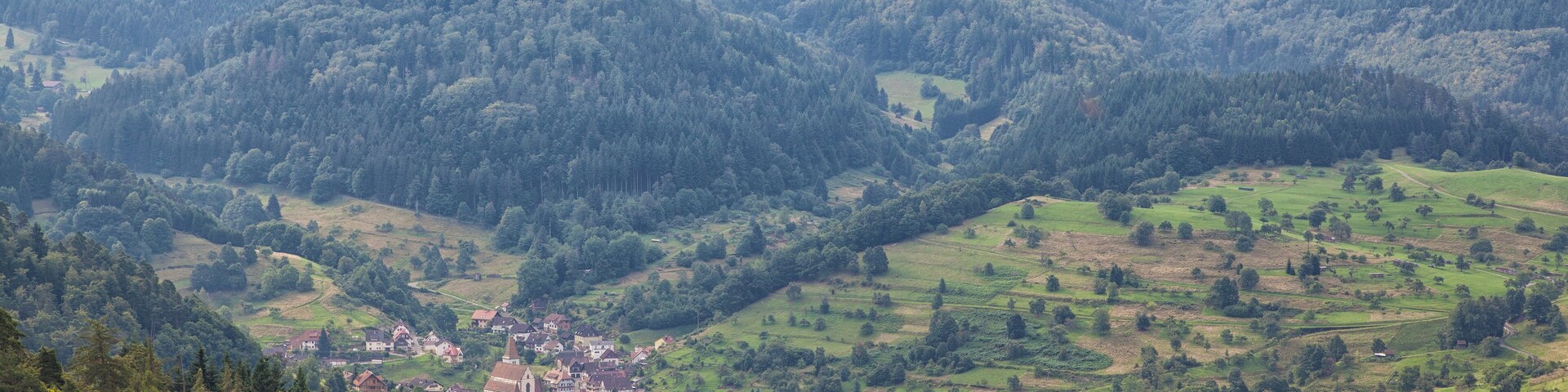 Blick vom Dachsstein auf Reichental und den Hohloh
